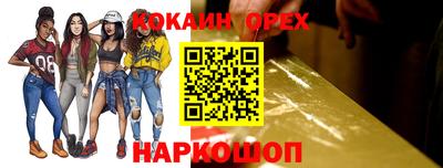 шишки Аргун