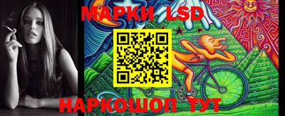 шишки Аргун