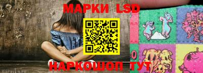 шишки Аргун