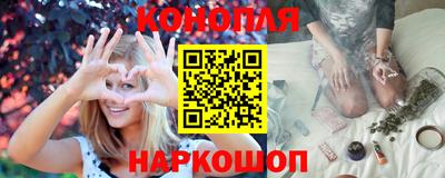 шишки Аргун