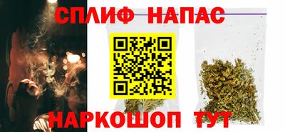 шишки Аргун