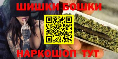 шишки Аргун