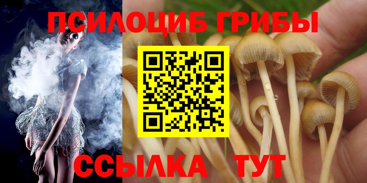 Псилоцибиновые грибы Psilocybine cubensis  Вход с VPN  Воронеж 