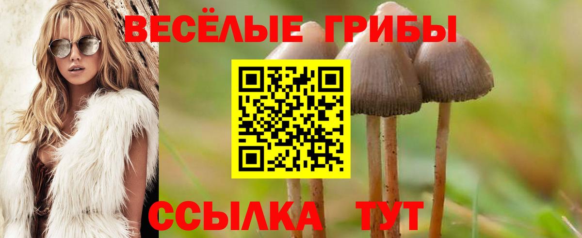 Галлюциногенные грибы прущие грибы Воронеж
